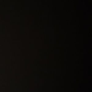 Meet your Posher, Wyatt